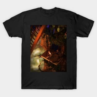 Little fantasy world T-Shirt